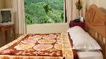 Winter Green Resorts